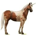 Einhorn-Reitpferd Paint Horse Brauner mit Tovero-Scheckung 