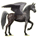Pegasus-Reitpferd Araber Hellgrau