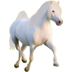 Pony Deutsches Reitpony Fuchs