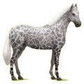 Reitpferd Holsteiner Brauner