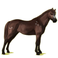 Pony Dunkelfuchs mit heller Mähne
