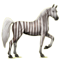 Reitpferd Hellgrau