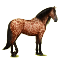 Pegasus-Reitpferd Andalusier Dunkelbrauner
