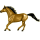 Reitpferd Araber Apfelschimmel