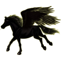 Pegasus-Reitpferd Andalusier Rappe