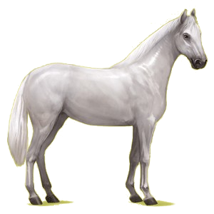 Reitpferd Hannoveraner Brauner
