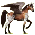 Pegasus-Reitpferd Araber Apfelschimmel