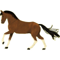 Pony Deutsches Reitpony Palomino