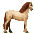 Reitpferd Friese Rappe
