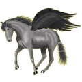 Pegasus-Reitpferd Araber Apfelschimmel