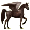 Pegasus-Reitpferd Araber Hellgrau