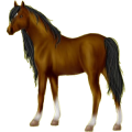 Pegasus-Reitpferd Trakehner Brauner