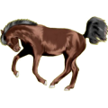 Reitpferd Oldenburger Fuchs