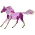 Pony Deutsches Reitpony Brauner