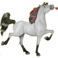 Pegasus-Reitpferd Andalusier Hellgrau