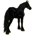 Reitpferd Friese Rappe