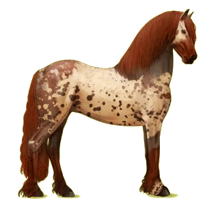 Reitpferd Friese Rappe