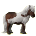 Pony Shetlandpony Rotbrauner