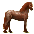 Reitpferd Rappe
