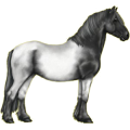 Pony Welsh Cob Mausgrau