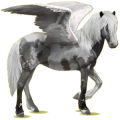 Pegasus-Reitpferd Isländer Hellgrau