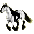 Reitpferd Paint Horse Brauner mit Tobiano-Scheckung