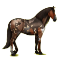 Reitpferd Andalusier Rappe