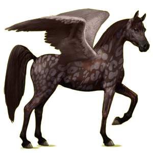 Pegasus-Reitpferd Araber Roan