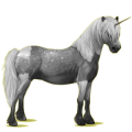 Einhorn-Pony Neufundland Pony Rappe