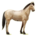 Pegasus-Reitpferd Paint Horse Dunkelfuchs mit Tobiano-Scheckung