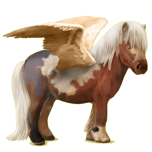 Pegasus-Pony Shetlandpony Rotbrauner