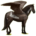 Pegasus-Reitpferd Andalusier Rappe