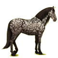 Reitpferd Hellgrau