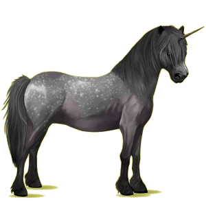 Einhorn-Pony Neufundland Pony Brauner