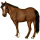 Pony Haflinger Fuchs mit heller Mähne