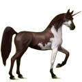 Einhorn-Reitpferd Araber Forellenschimmel