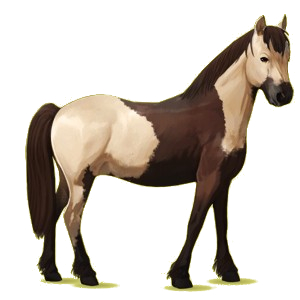 Pony Haflinger Palomino