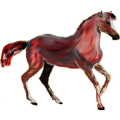 Reitpferd Andalusier Rappe