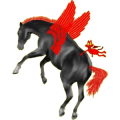 Pegasus-Reitpferd Isländer Rappe