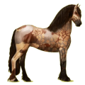 Reitpferd Friese Rappe