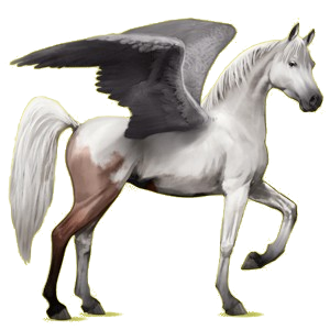 Pegasus-Reitpferd Araber Apfelschimmel