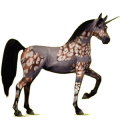 Einhorn-Reitpferd Araber Hellgrau