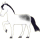Reitpferd Mustang Apfelschimmel