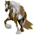 Reitpferd Friese Rappe