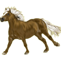 Pony Haflinger Fuchs mit heller Mähne