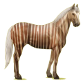 Reitpferd Paint Horse Dunkelbrauner mit Tovero-Scheckung