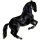 Reitpferd Argentinischer Criollo Rappe