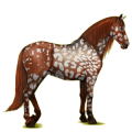 Pegasus-Reitpferd Andalusier Mausgrau