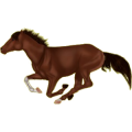 Reitpferd Lusitano Palomino