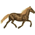 Reitpferd Paint Horse Fuchs mit Tobiano-Scheckung
